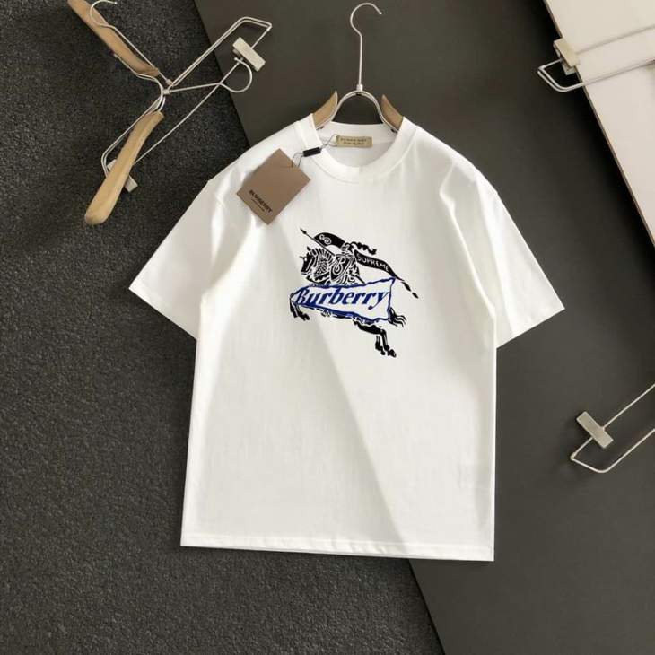 Picture of Burberry T Shirts Short _SKUBurberryM-5XL12yr3920071